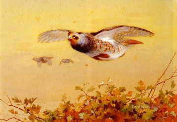 飛行中の英語ヤマウズラ アーチボルド・ソーバーン鳥 Oil Paintings